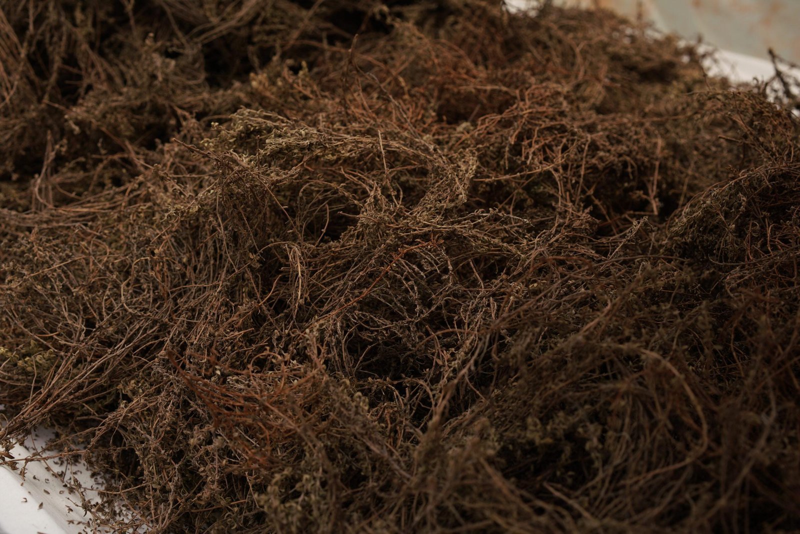 Life and produce at Rassba Farm