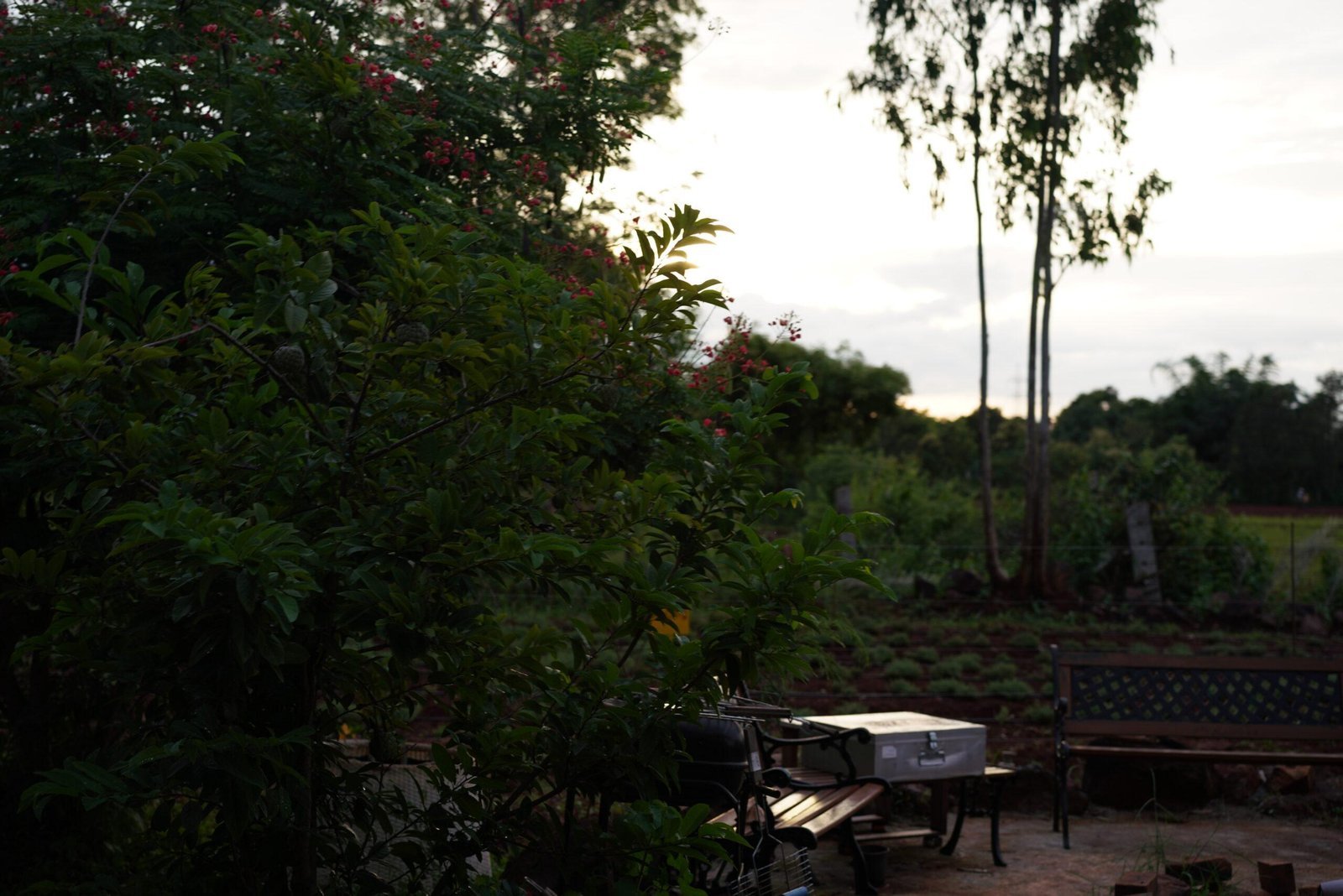 Life and produce at Rassba Farm